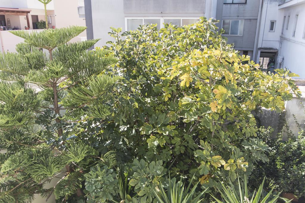 豪华住宿加早餐旅馆 莱切 外观 照片